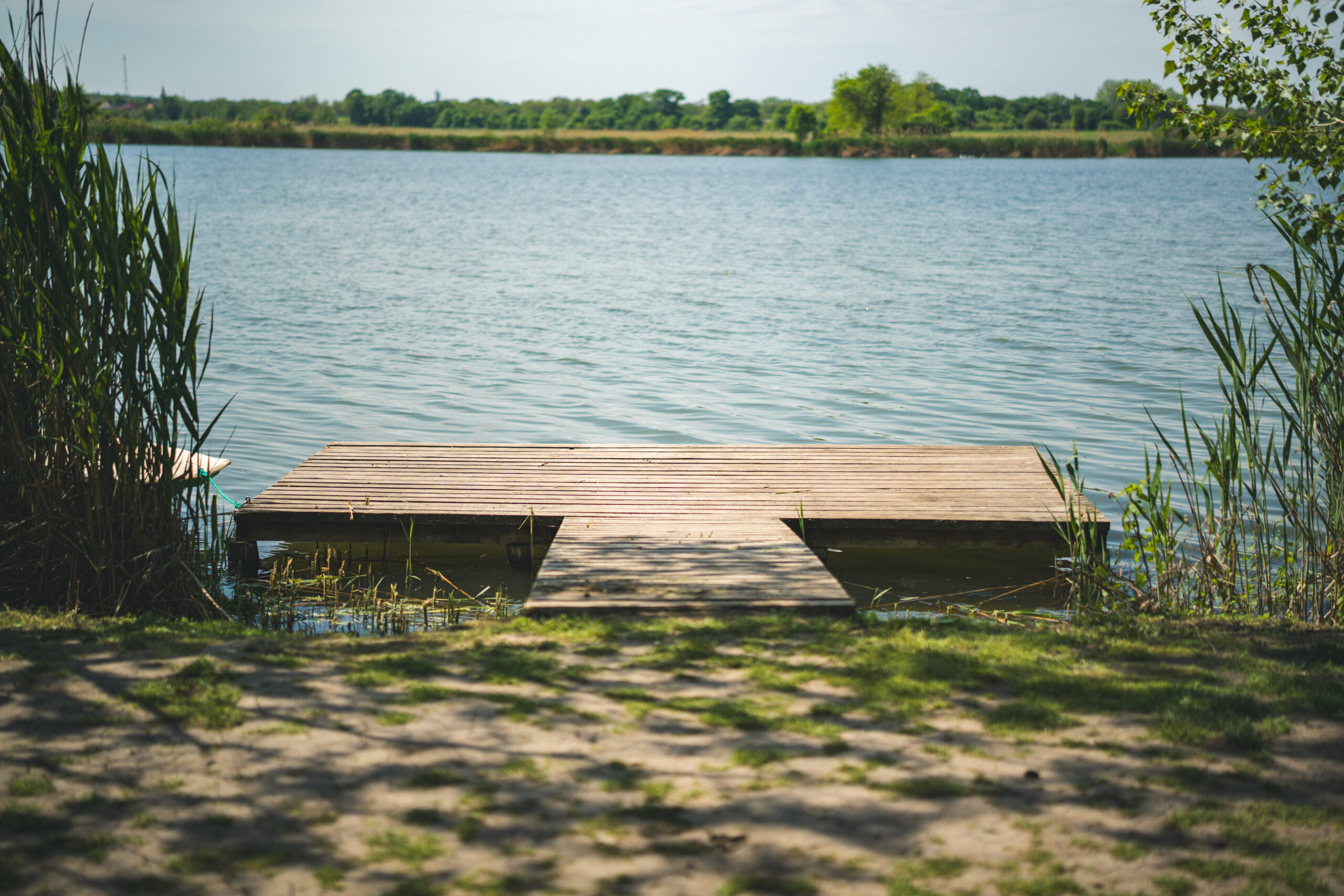 untitled (56 of 132)