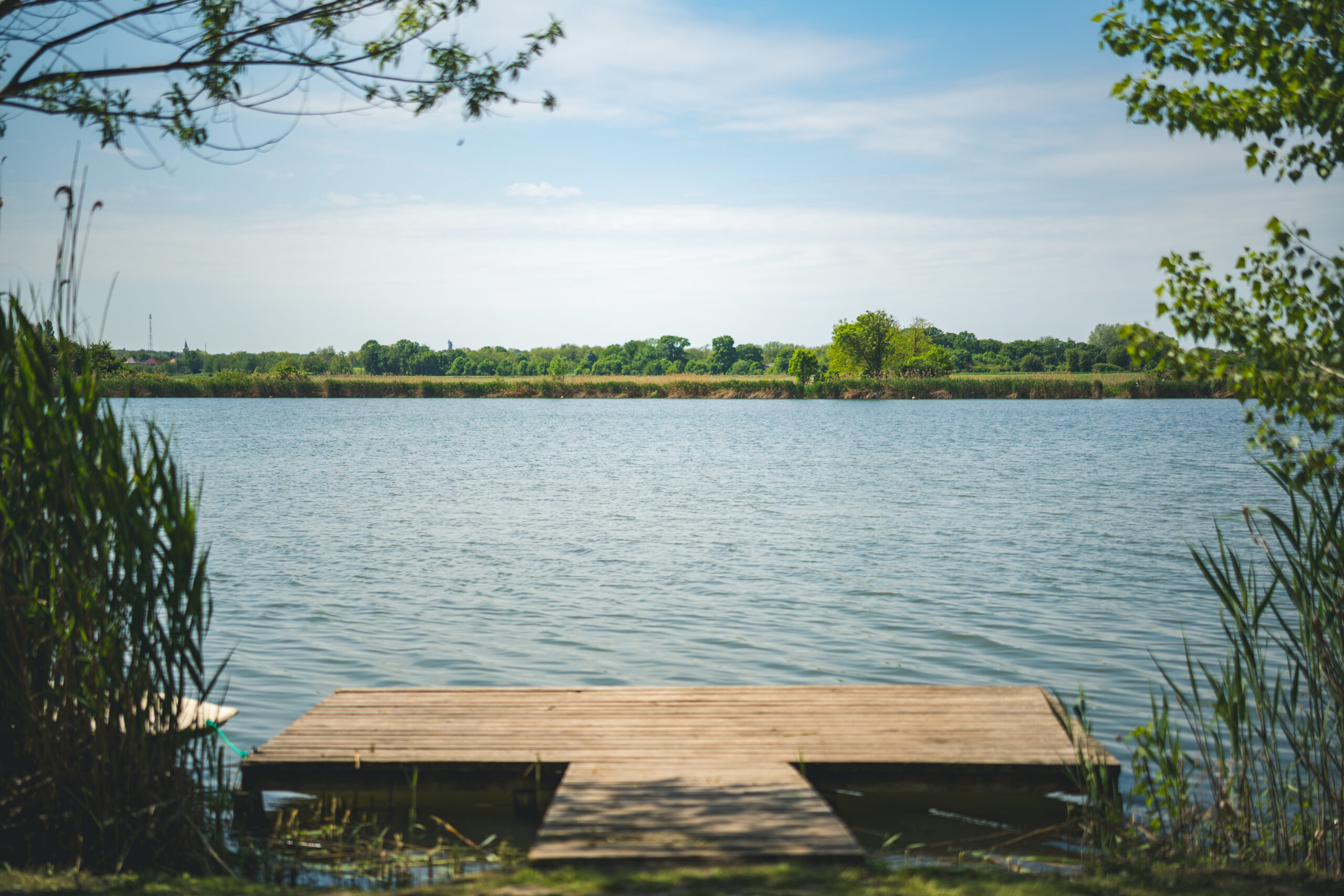 untitled (57 of 132)