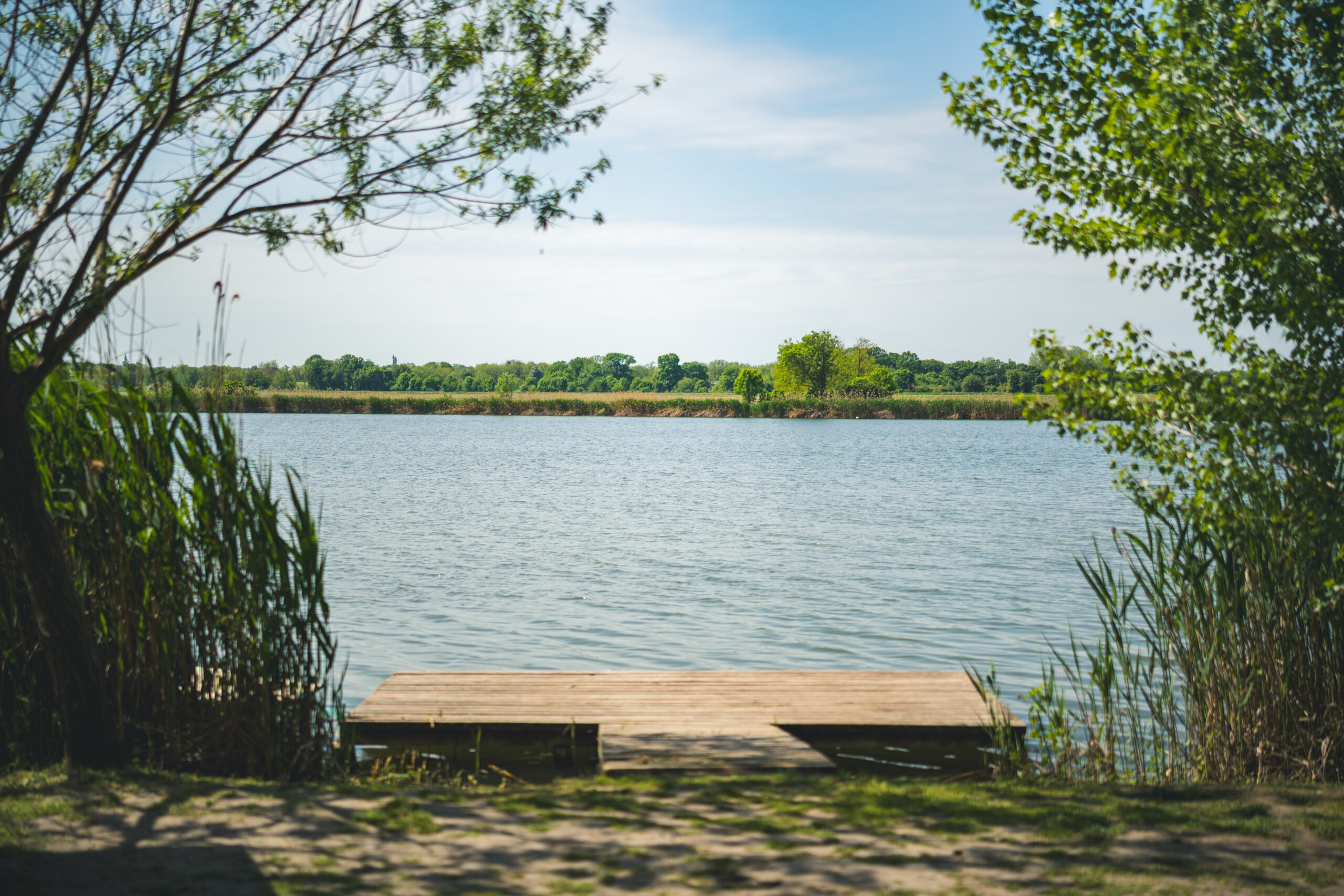 untitled (59 of 132)