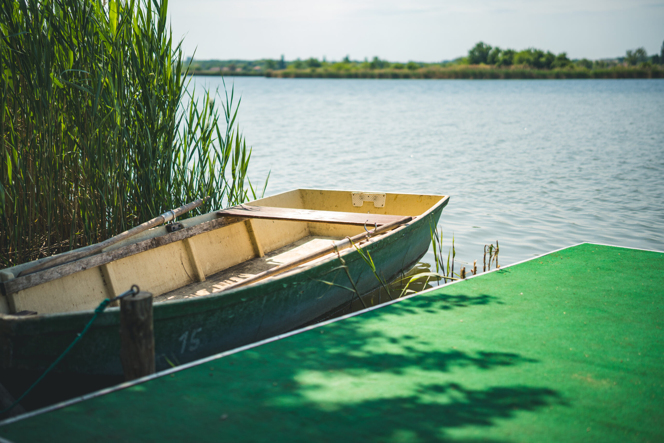 untitled (69 of 132)