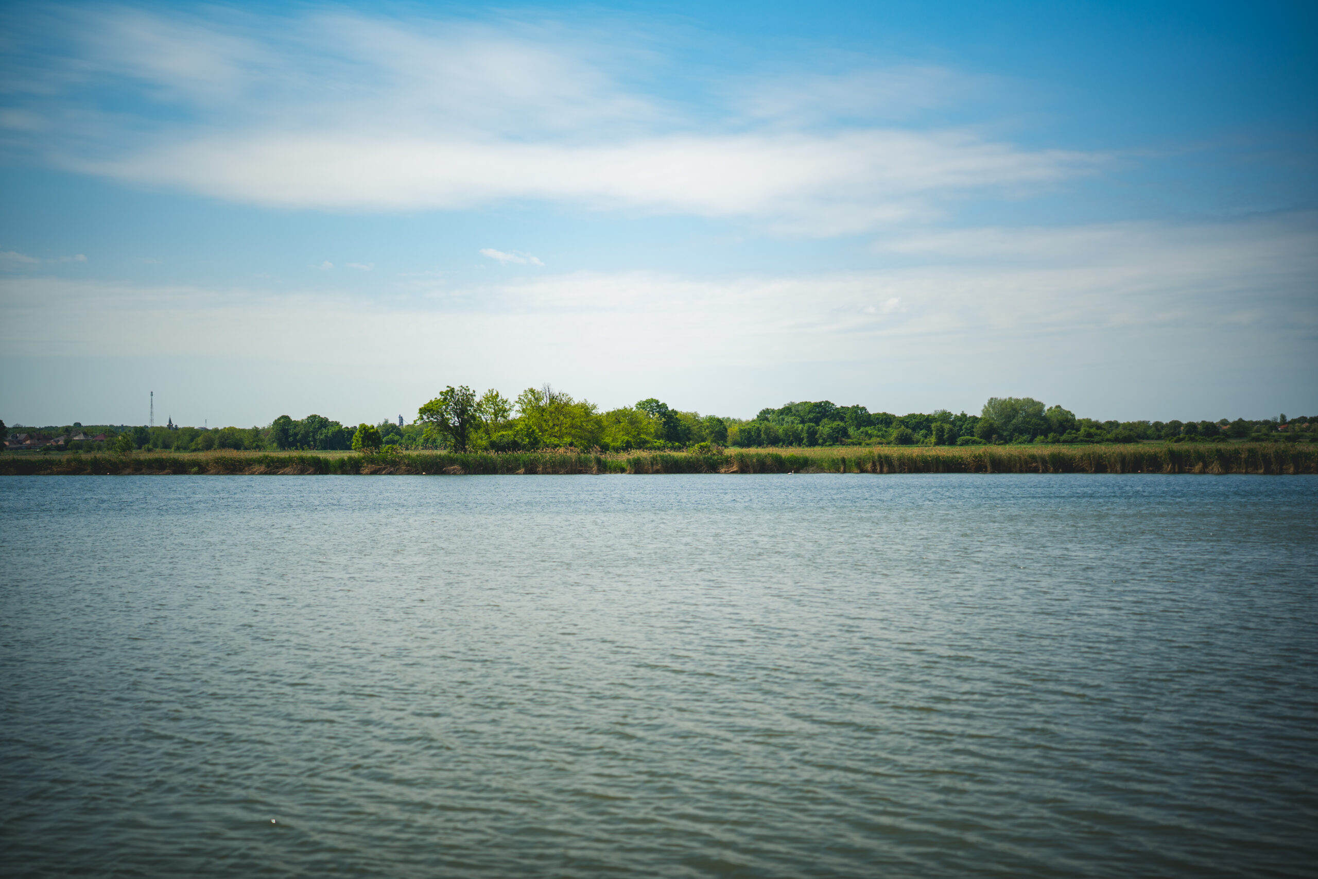 untitled (70 of 132)