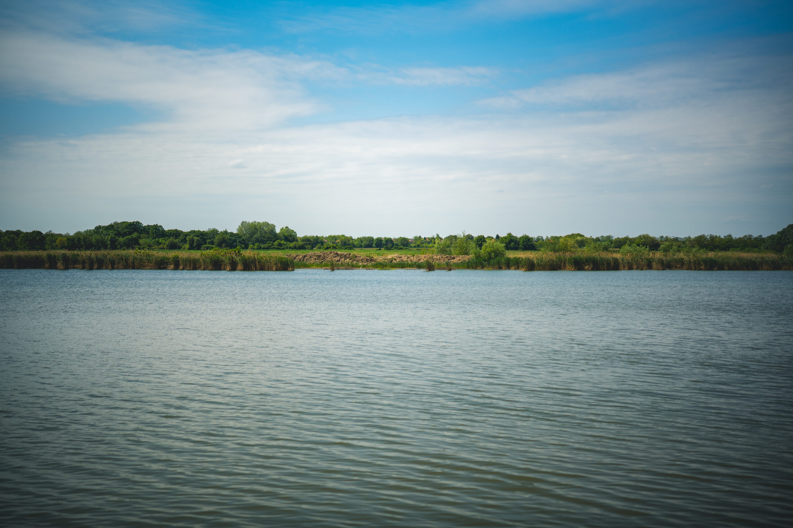 untitled (74 of 132)