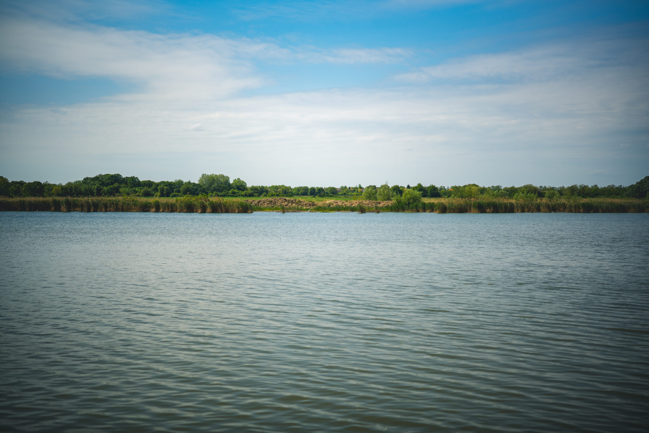 untitled (75 of 132)