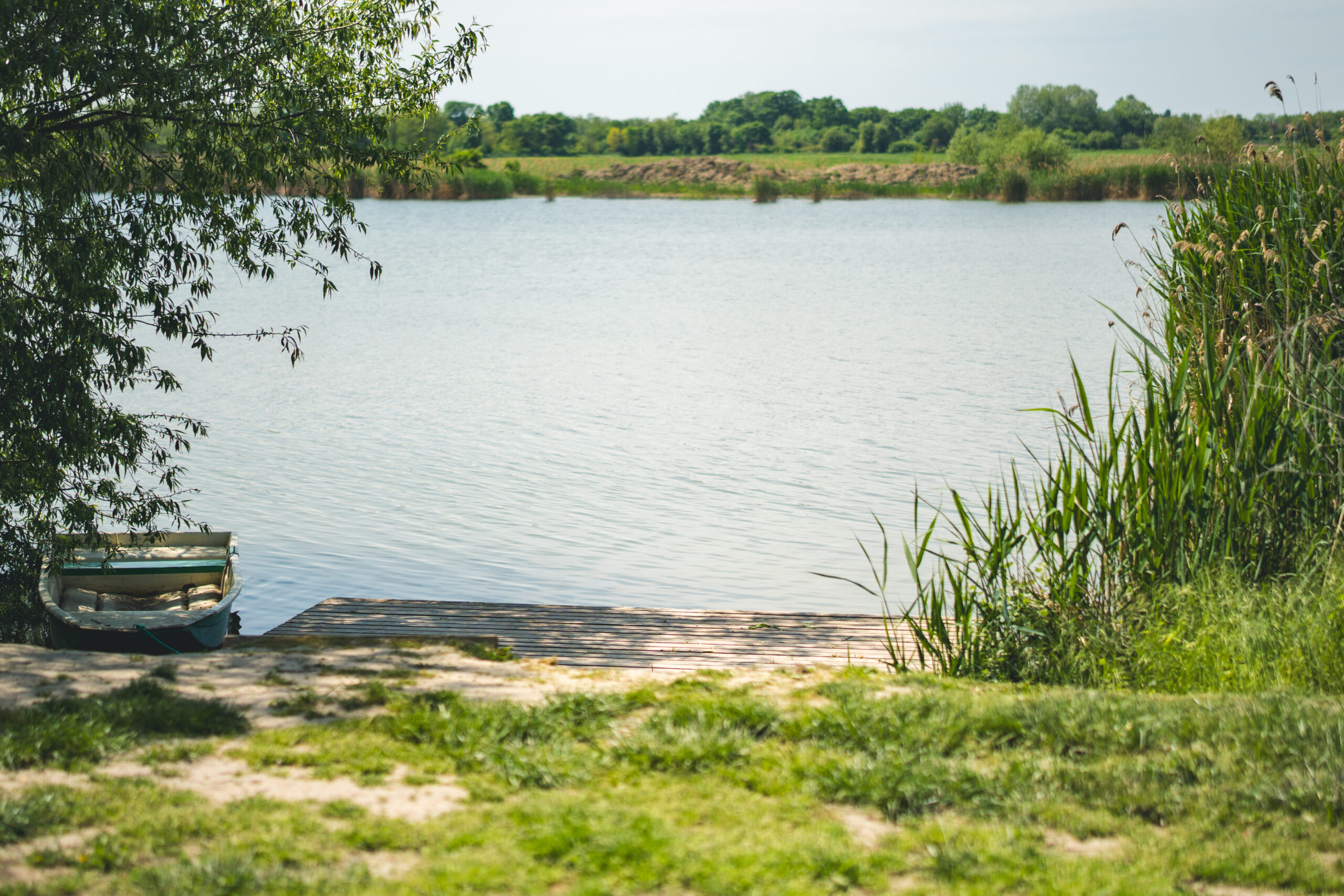 untitled (78 of 132)