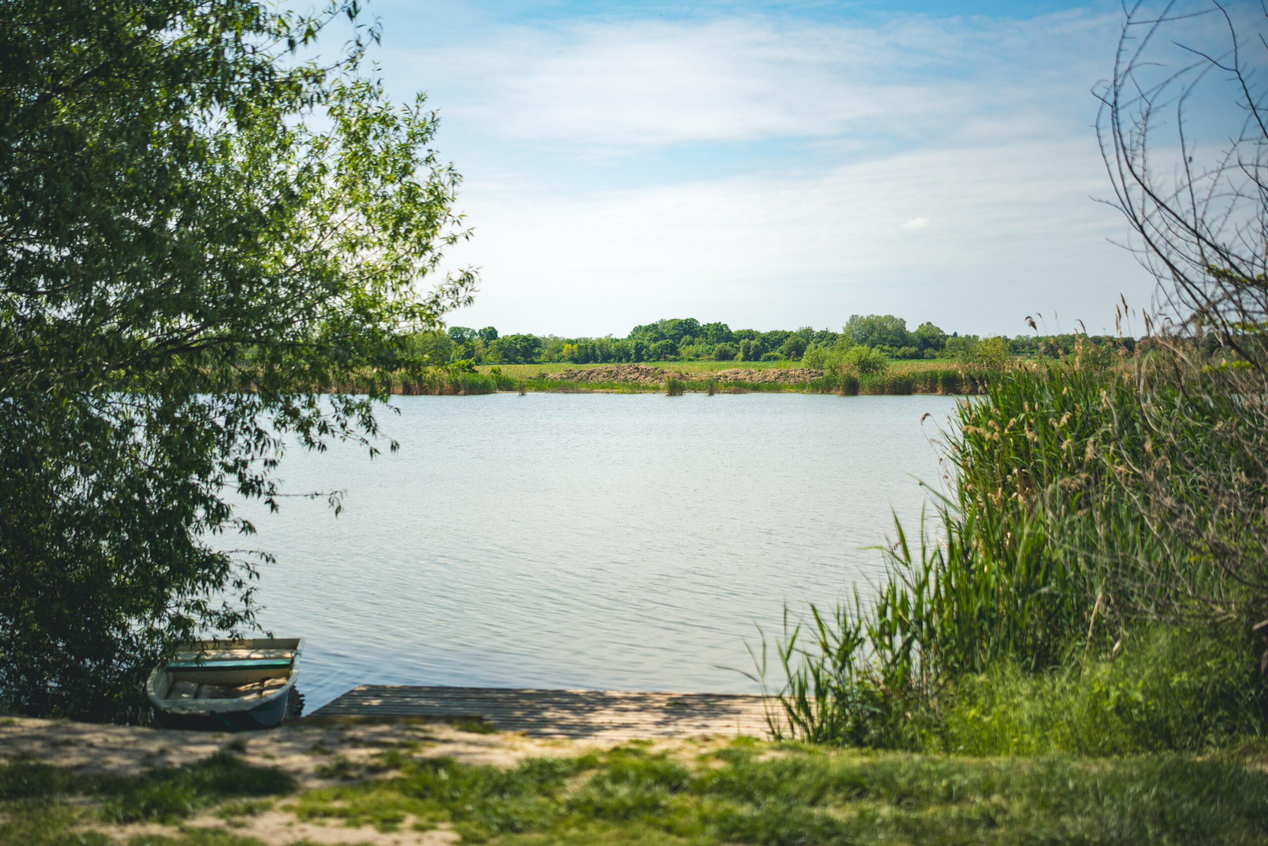 untitled (79 of 132)