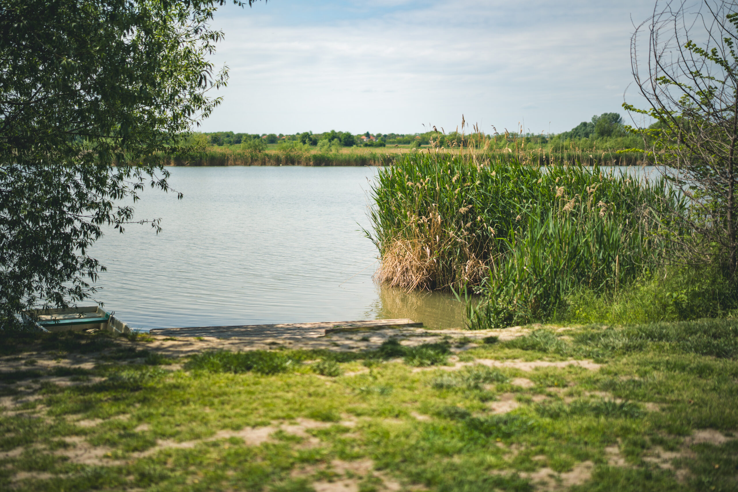 untitled (82 of 132)