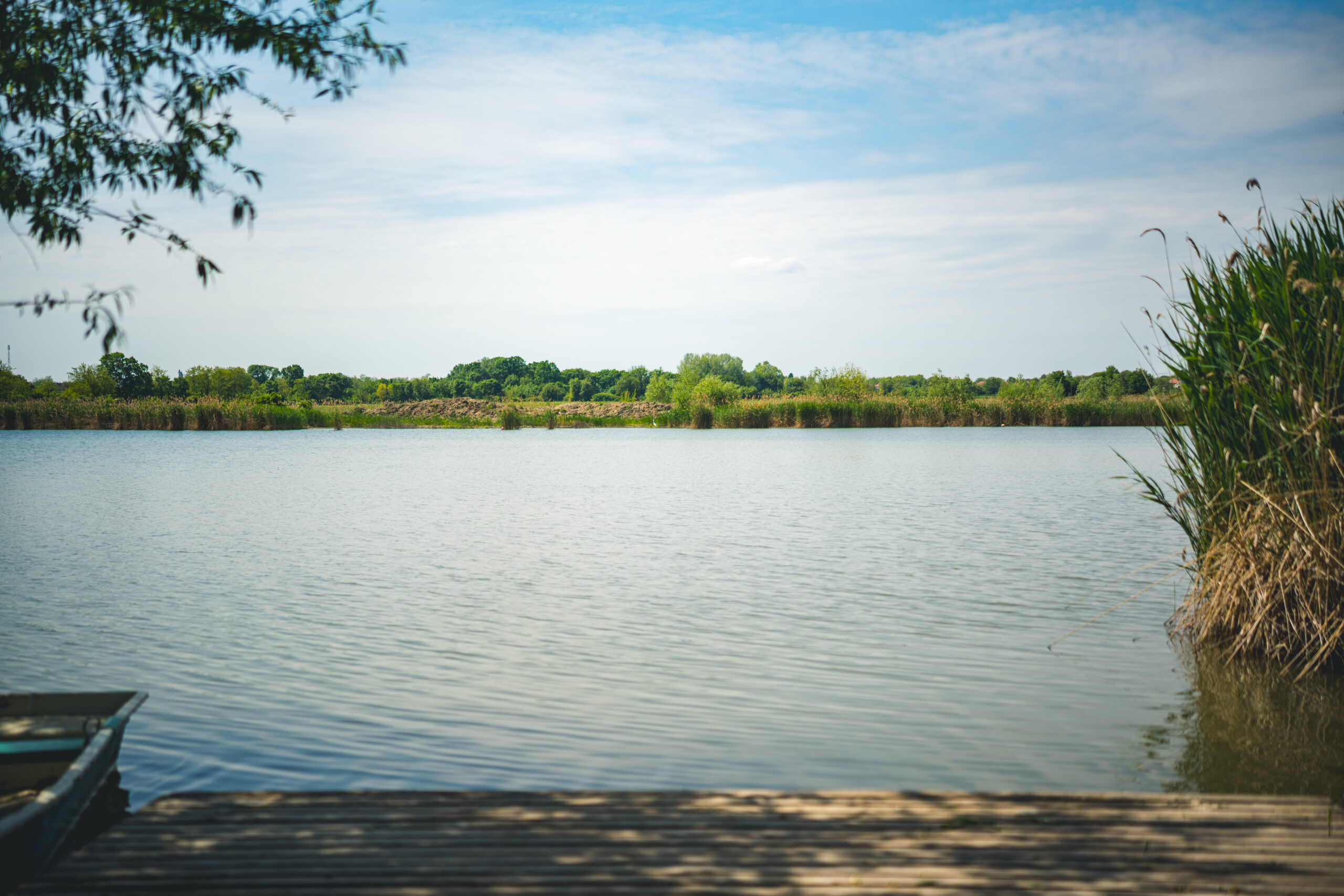 untitled (84 of 132)