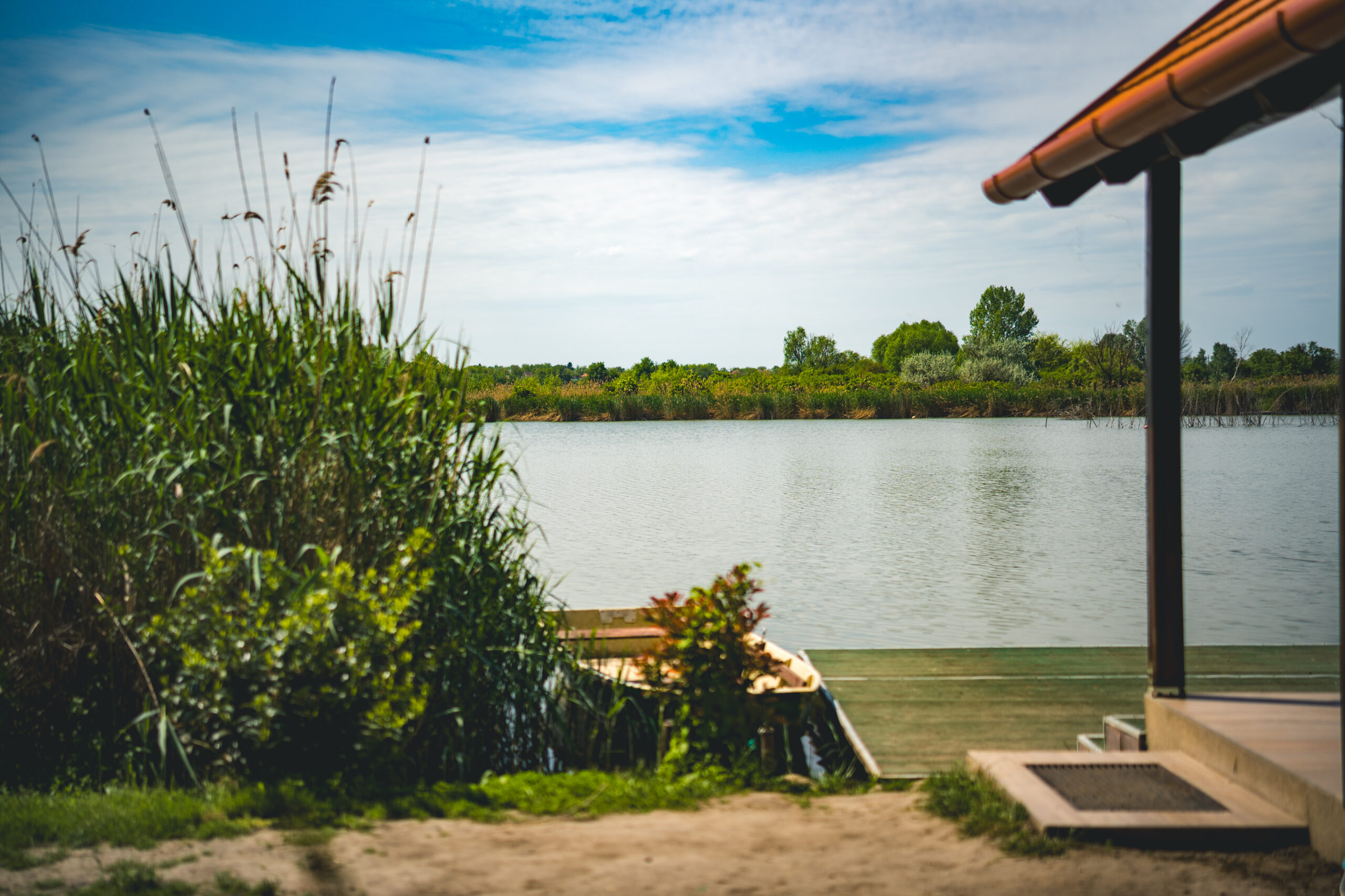 untitled (86 of 132)