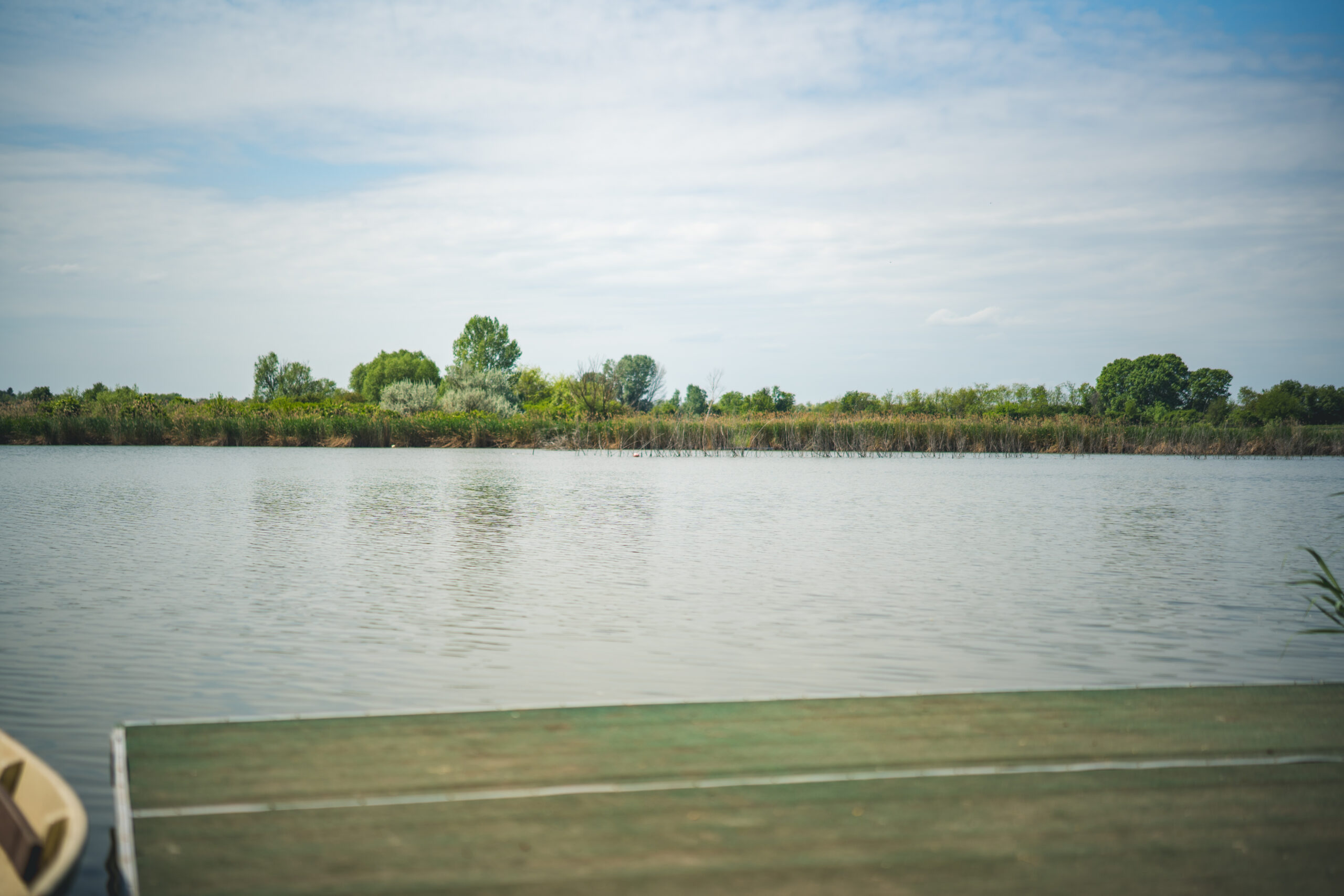 untitled (87 of 132)