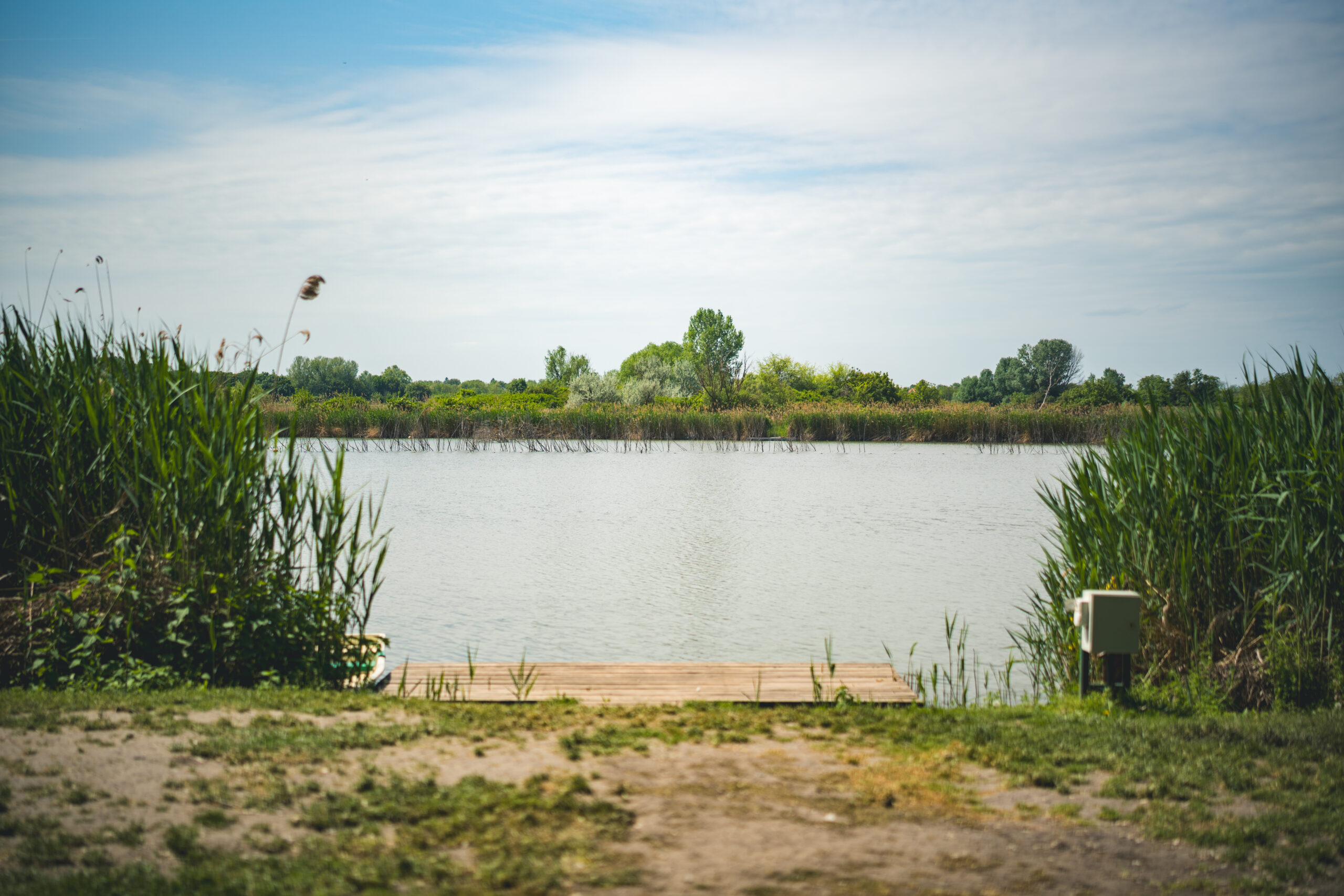 untitled (91 of 132)