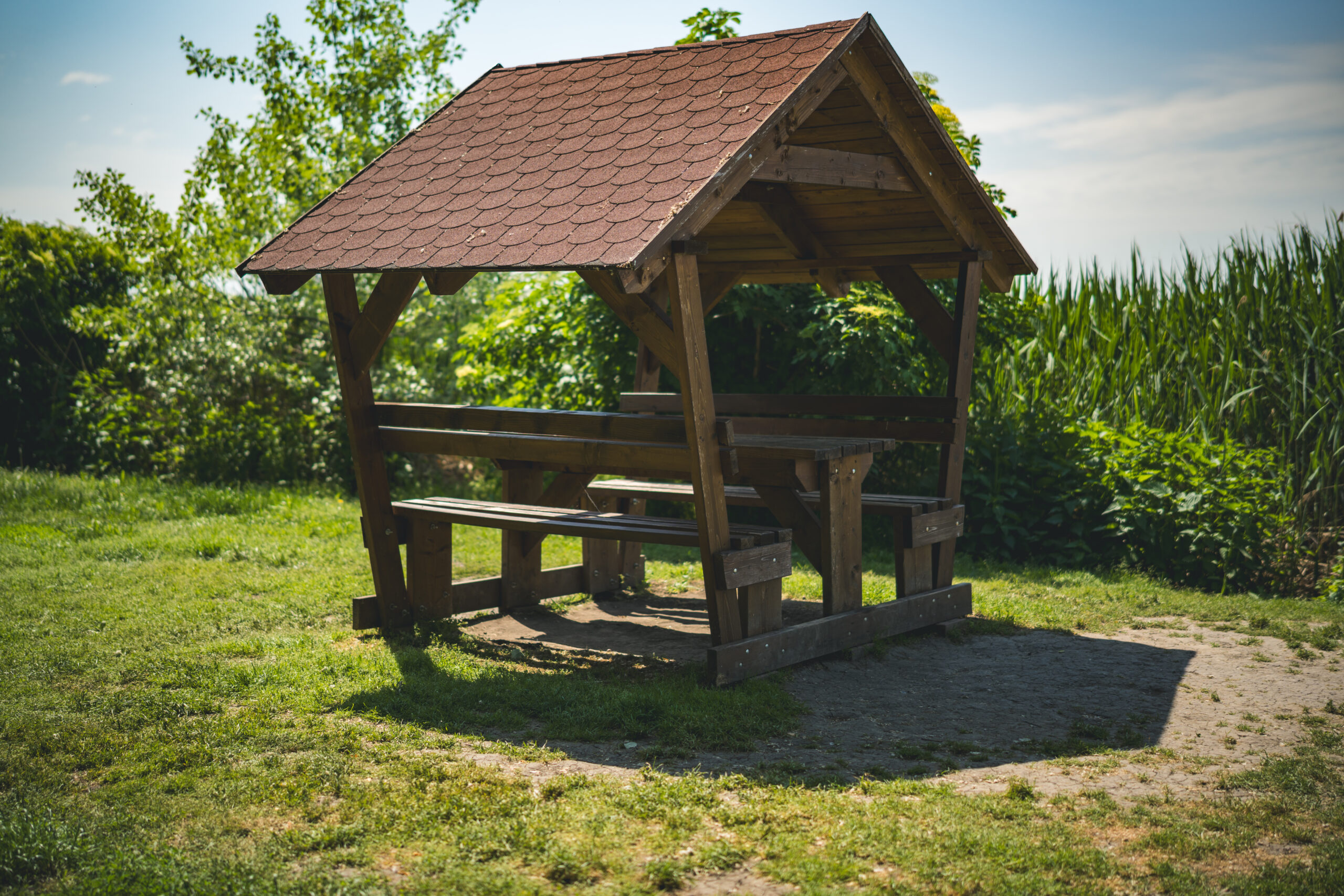 untitled (92 of 132)