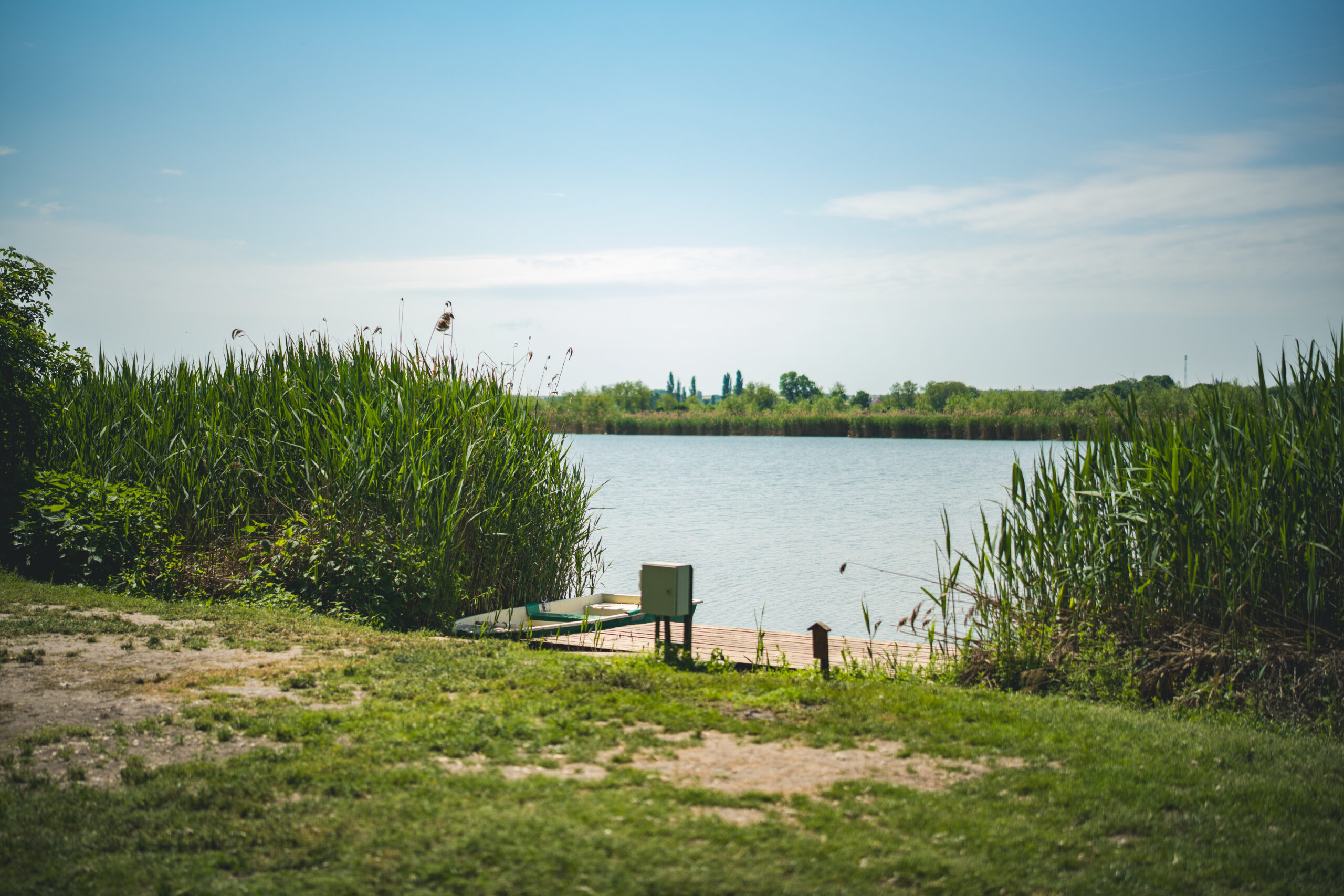 untitled (94 of 132)