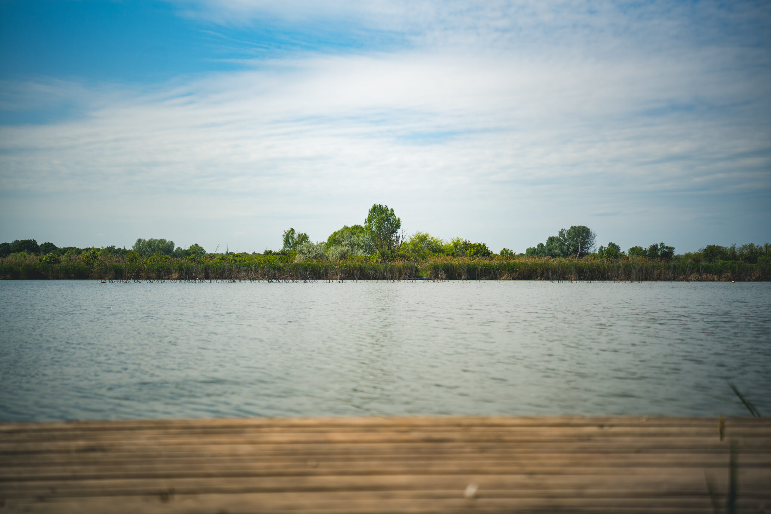 untitled (95 of 132)