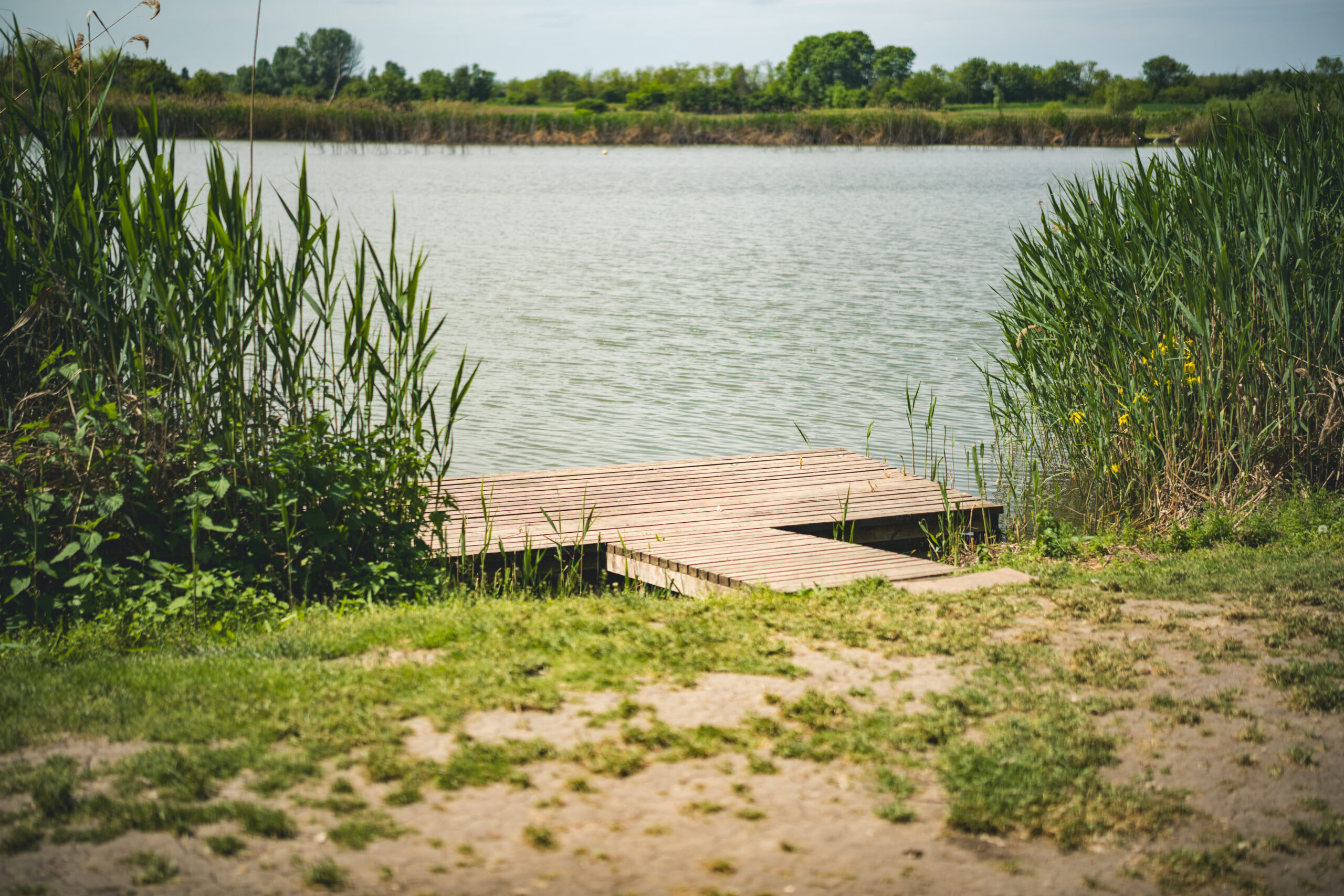 untitled (96 of 132)