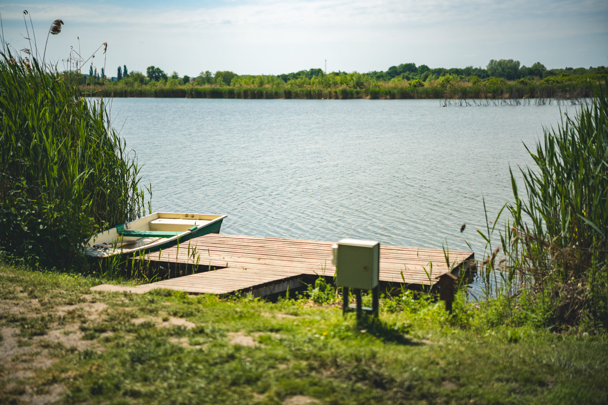 untitled (97 of 132)