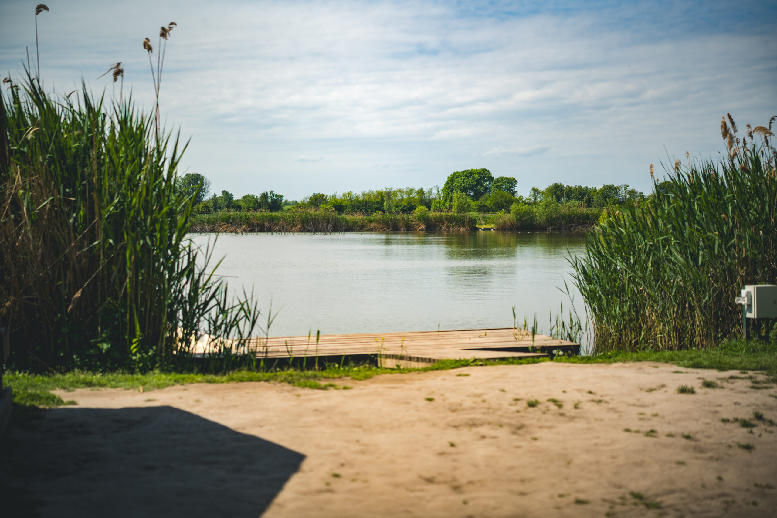 untitled (99 of 132)